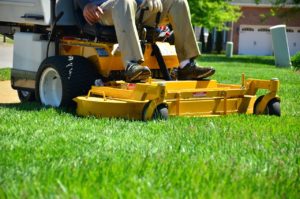 lawn care, lawn maintenance, lawn services